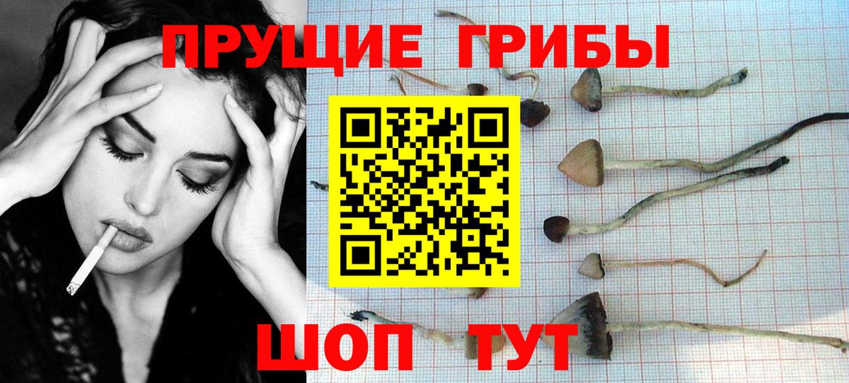 Клин  Псилоцибиновые грибы MAGIC MUSHROOMS  Вход с VPN  Галлюциногенные грибы MAGIC MUSHROOMS 
