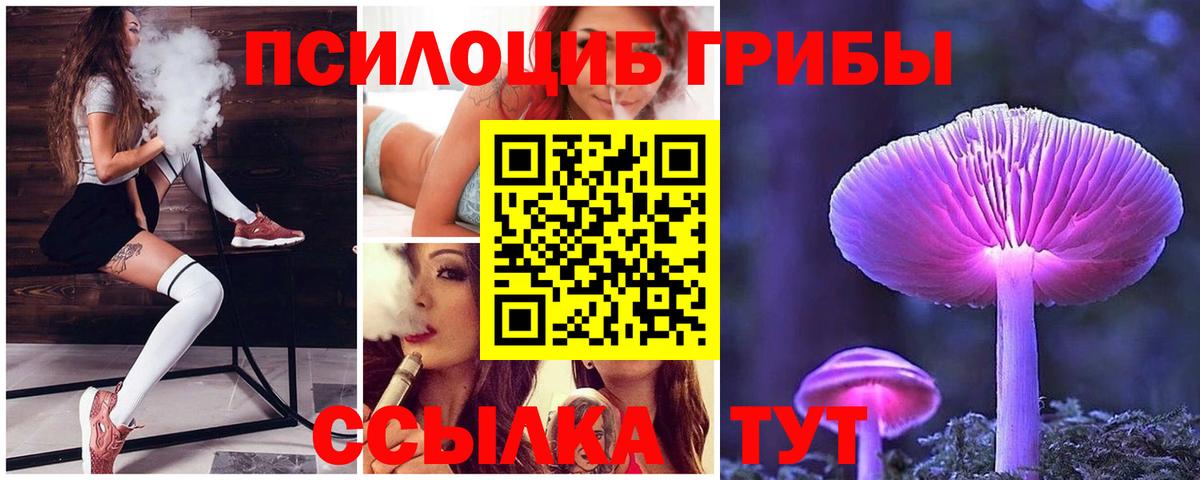 Псилоцибиновые грибы прущие грибы Клин