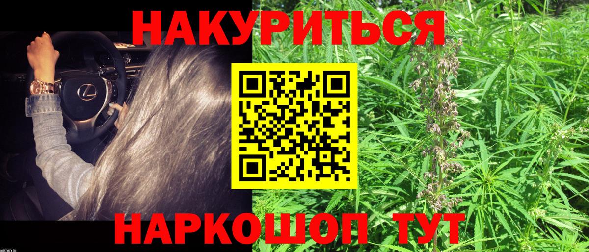 Бошки Шишки ГИДРОПОН Клин